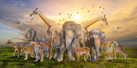 Large group of african safari animals. Wildlife conservation concept © sarayut_sy