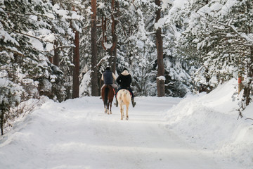 Turkey national park Abant, Bolu