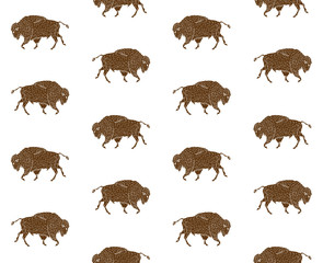 Vector seamless pattern of brown hand drawn wild bison ox isolated on white background 