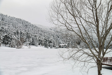 Turkey national park Abant, Bolu