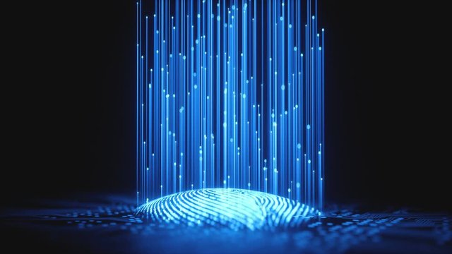 Fingerprint integrated in a printed circuit, releasing binary codes.