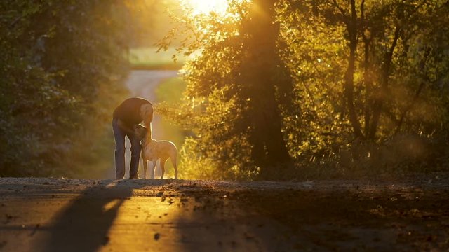 Rural sunset man petting dog