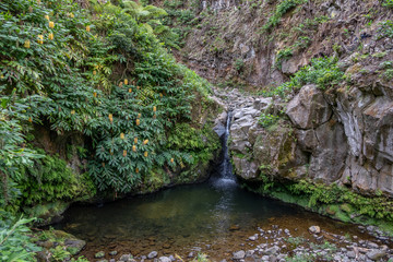 Waterfall view of Ribeira dos Caldeirões Natural Park, Nordeste, São Miguel Island, Azores, Portugal