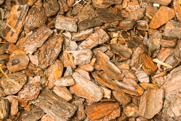 background of wet tree barks