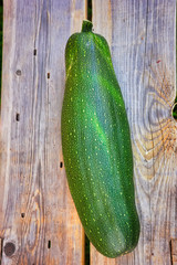 Zucchini on the background of old wooden boards close-up.