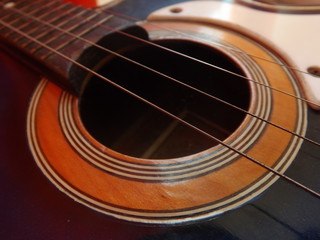 Obraz premium cavaquinho