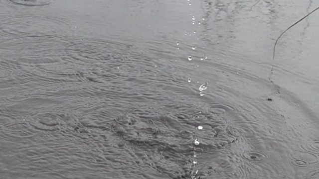 The whip from the bulrush hits the water, fly spray. Fun village children. Super slow motion 1000 fps