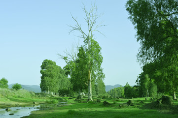 Plants and animald in wild life, Algeria