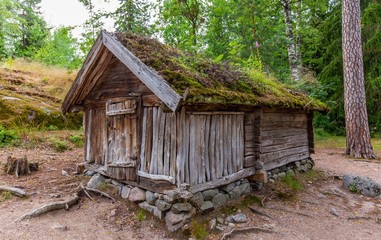 Helsinki, finland. Nature background. Landscape background. National park outdoors landscape.