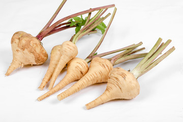 PARSNIP, FRESH with leaves only from the garden, on a white background .