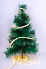 Christmas tree wrapped in LED strip on white background closeup