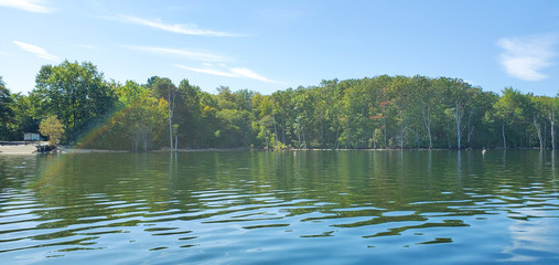 Manasquan Reservoir in New Jersey, USA. Dead Trees in the forest around a lake. reflections of old tree trunks in blue pond water.