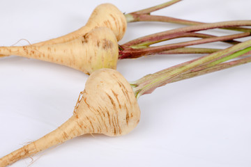 PARSNIP, FRESH with leaves only from the garden, on a white background .