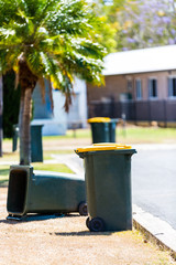 Rubbish bins rubbish collection day