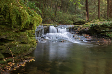 waterfall in forest of Appalachian mountains, green mossy forest landscape