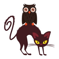 halloween owl bird with cat