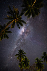 Starry night above Palm trees on the tropical island of Samoa