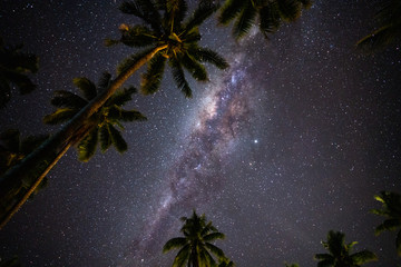 Starry night above Palm trees on the tropical island of Samoa - obrazy, fototapety, plakaty