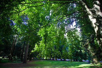 Queen Elizabeth Park, vancouver