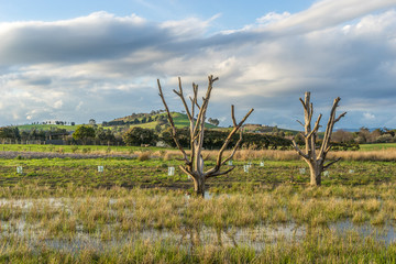 Picturesque location in Yarra Valley, Victoria, Australia