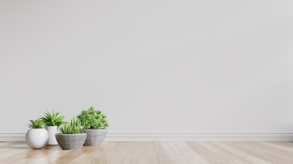 White empty room with plants on a floor.