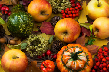 Fall leaves, rowan berries and apples
