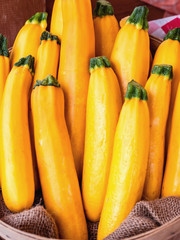 Fototapeta na wymiar Yellow Zucchini at the Market