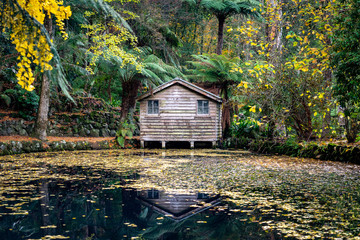 Wooden cabin in Alfred Nicholas gardens