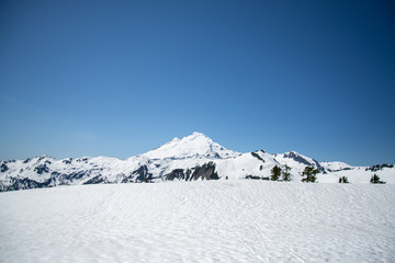 Fototapeta premium Mt Baker