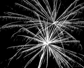 Fireworks black and white