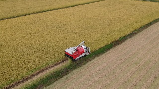 空撮 日本の秋 稲刈り 作業風景