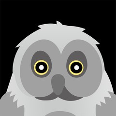 Owl Icon, Cute Cartoon Funny Character with Colorful Wings – Flat Design 