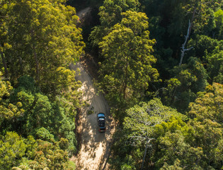 Aerial of a road/path in the middle of a forest. Beautiful view from above of a natural habitat with a road and transportation facilities. 
