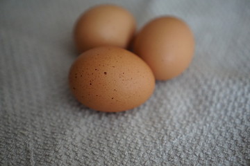 eggs on wooden background