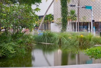 Miami Beach Lincoln Road Mall garden and pond scenery