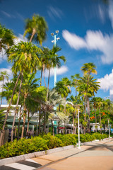 Obraz premium Garden scene at Lincoln Road Miami Beach. Long exposure motion blur in trees and clouds