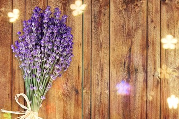 Bouquet of lavender flowers on white background