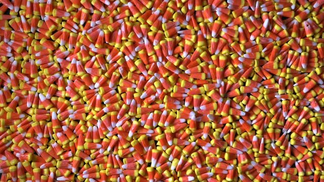 Hundreds of candy corn are seen dancing and moving around in a large pile.