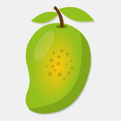 fresh mango fruit. isolated vector illustration.