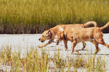 Playing at the Beach