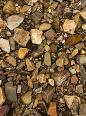 River Stone Background