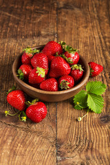 Strawberry in a Bowl