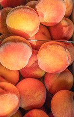 Fresh peaches ready to eat in a sunlit basket