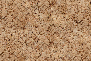 Cork texture of wood.