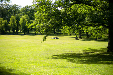 Obraz premium Unrecognizable a group of young people setting in the green garden enjoying meeting and picnic in a summertime, Sweden