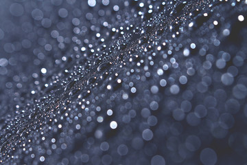Macro of water droplet