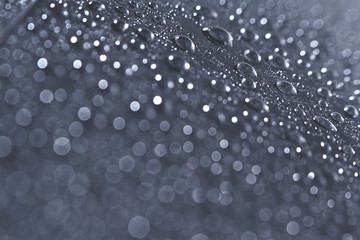 Macro of water droplet