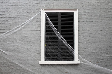 Halloween cobweb on the window. Halloween Background. Copy space for your text
