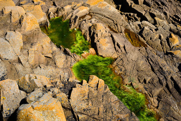 Incredible ocean coast near Plougrescant. Brittany. France