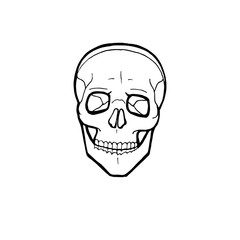 Black and white human skull with a lower jaw. Vector logo illustration